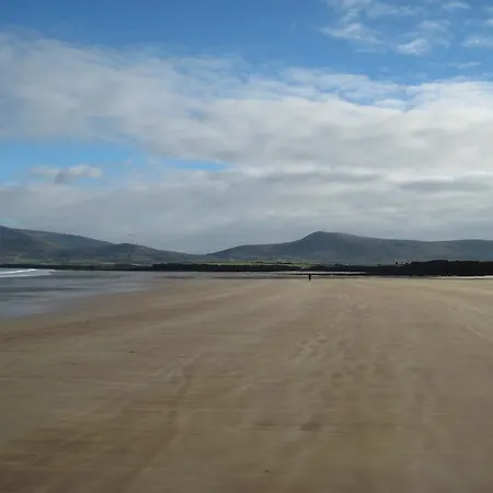 30 Dun An Oir * Беллиферритер