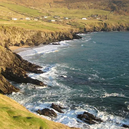 30 Dun An Oir * Беллиферритер